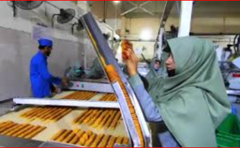Packing Jobs in Biscuit Factory – Easy Work Opportunity for Job Seekers